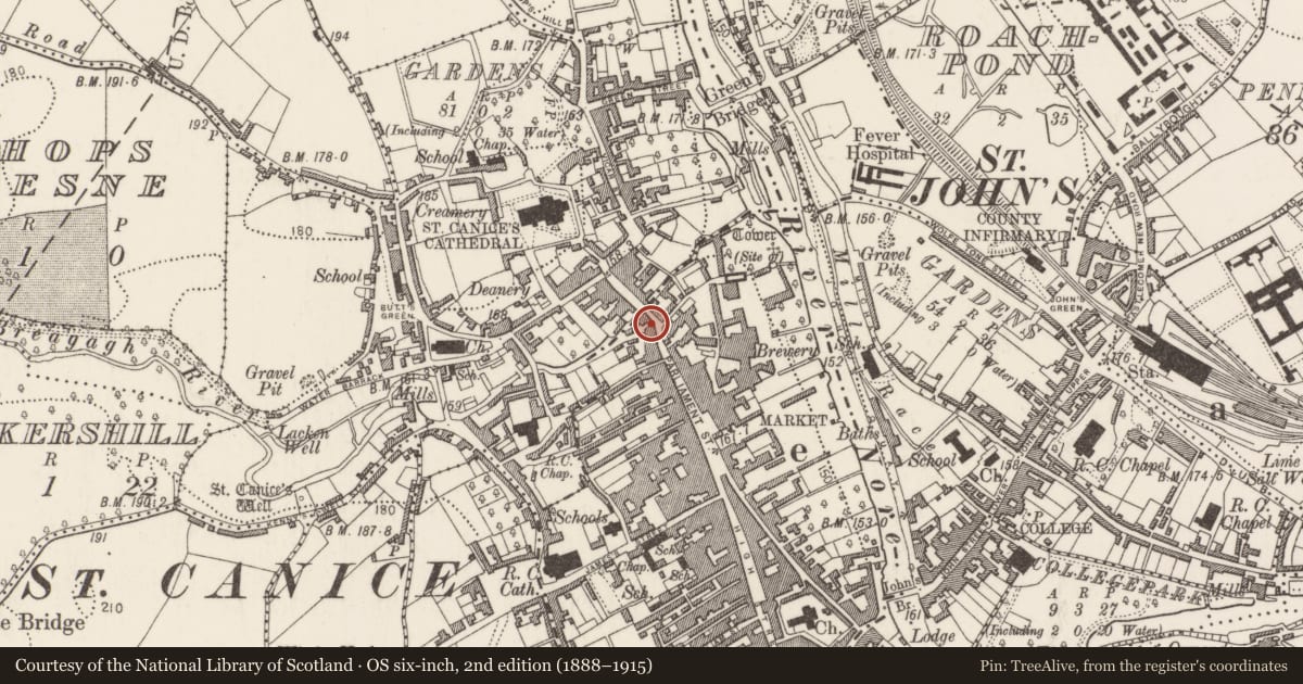 Ordnance Survey six-inch map, 2nd edition (1888–1915) covering the location of House - 17th century, Gardens (Kilkenny City By., St. Mary’s Par.), County Kilkenny, with a pin at the register's coordinates