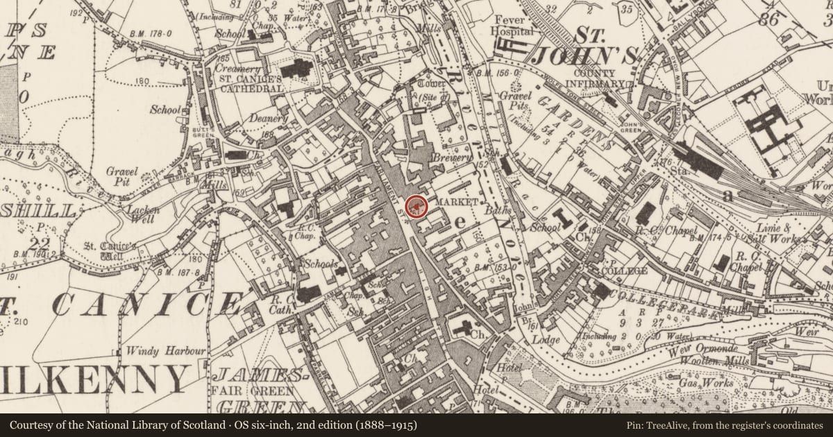 Ordnance Survey six-inch map, 2nd edition (1888–1915) covering the location of Building, Gardens (Kilkenny City By., St. Mary’s Par.), County Kilkenny, with a pin at the register's coordinates