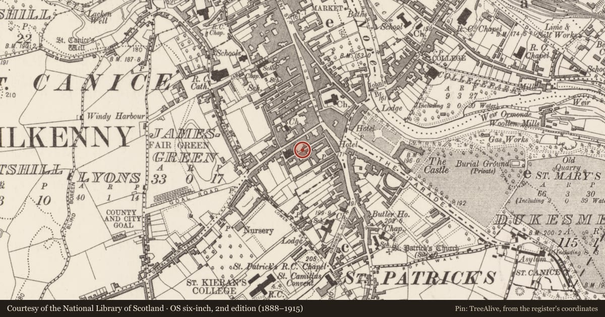 Ordnance Survey six-inch map, 2nd edition (1888–1915) covering the location of House - 17th/18th century, Gardens (Kilkenny City By., St. Mary’s Par.), County Kilkenny, with a pin at the register's coordinates