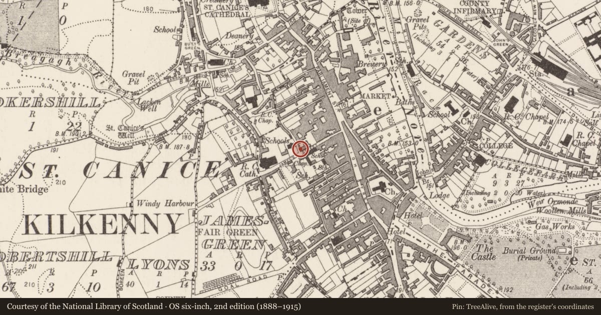 Ordnance Survey six-inch map, 2nd edition (1888–1915) covering the location of Furnace, Gardens (Kilkenny City By., St. Mary’s Par.), County Kilkenny, with a pin at the register's coordinates