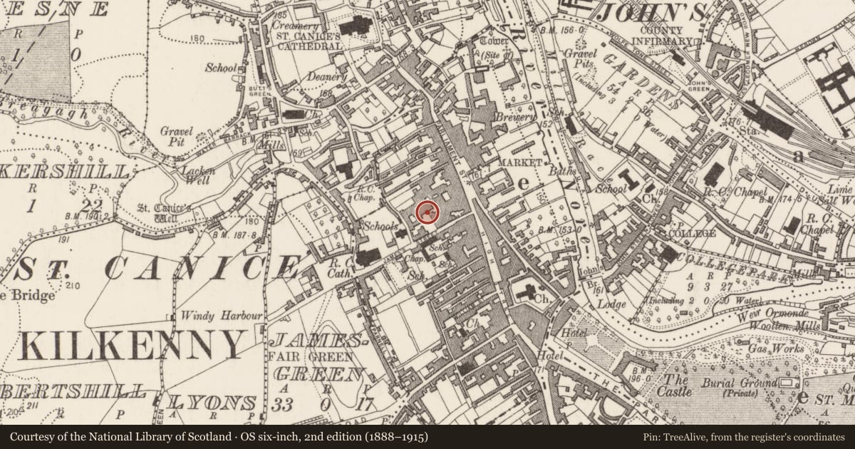 Ordnance Survey six-inch map, 2nd edition (1888–1915) covering the location of Excavation - miscellaneous, Gardens (Kilkenny City By., St. Mary’s Par.), County Kilkenny, with a pin at the register's coordinates