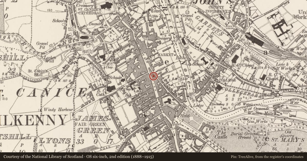 Ordnance Survey six-inch map, 2nd edition (1888–1915) covering the location of Furnace, Gardens (Kilkenny City By., St. Mary’s Par.), County Kilkenny, with a pin at the register's coordinates