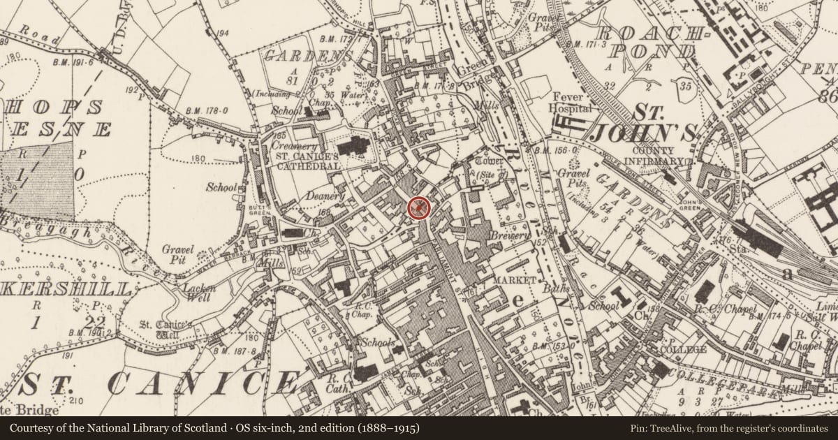 Ordnance Survey six-inch map, 2nd edition (1888–1915) covering the location of Bridge, County Kilkenny, with a pin at the register's coordinates
