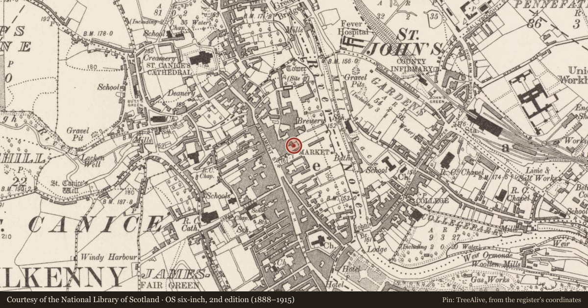 Ordnance Survey six-inch map, 2nd edition (1888–1915) covering the location of Excavation - miscellaneous, Gardens (Kilkenny City By., St. Mary’s Par.), County Kilkenny, with a pin at the register's coordinates
