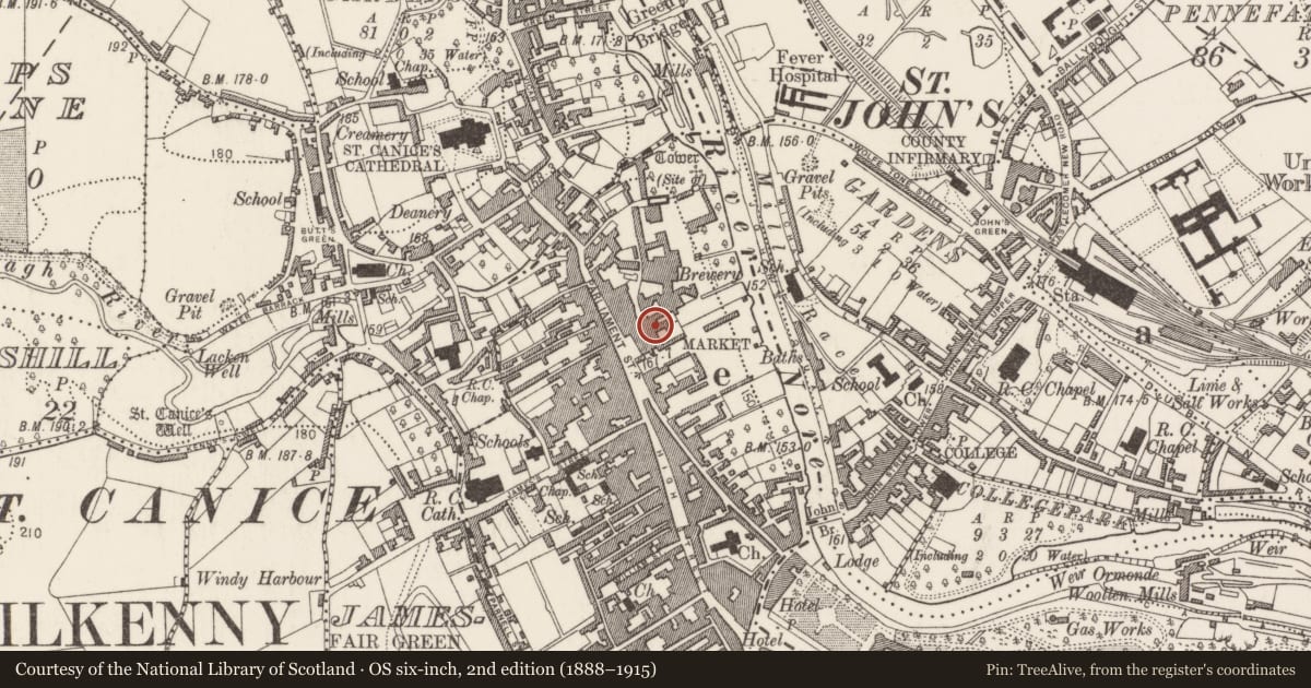 Ordnance Survey six-inch map, 2nd edition (1888–1915) covering the location of Burial, Gardens (Kilkenny City By., St. Mary’s Par.), County Kilkenny, with a pin at the register's coordinates