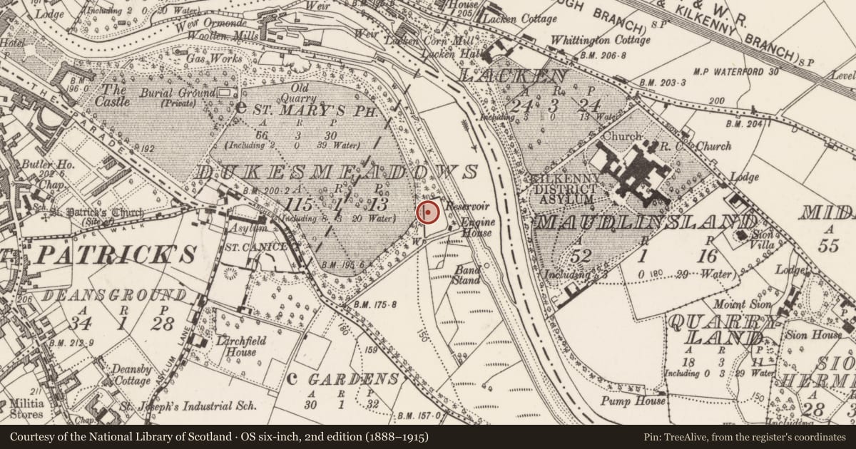 Ordnance Survey six-inch map, 2nd edition (1888–1915) covering the location of Water mill - horizontal-wheeled, Dukesmeadows (Shillelogher By., St. Patrick's Par.), County Kilkenny, with a pin at the register's coordinates
