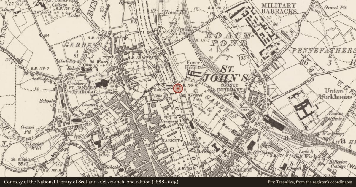 Ordnance Survey six-inch map, 2nd edition (1888–1915) covering the location of Riverine revetment, Gardens (Kilkenny City By., St. John's Par.), County Kilkenny, with a pin at the register's coordinates