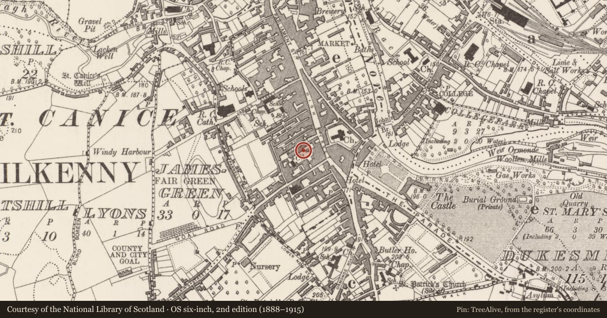 Ordnance Survey six-inch map, 2nd edition (1888–1915) covering the location of Excavation - miscellaneous, Gardens (Kilkenny City By., St. Mary’s Par.), County Kilkenny, with a pin at the register's coordinates