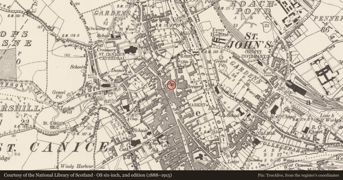 Ordnance Survey six-inch map, 2nd edition (1888–1915) covering the location of Building, Gardens (Kilkenny City By., St. Mary’s Par.), County Kilkenny, with a pin at the register's coordinates