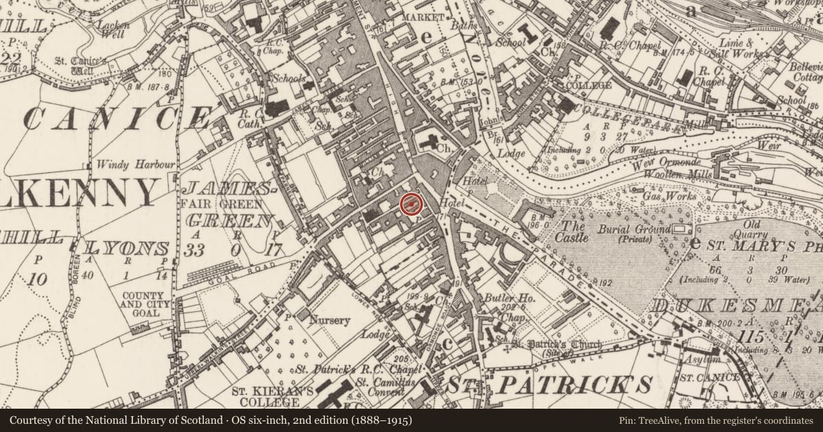 Ordnance Survey six-inch map, 2nd edition (1888–1915) covering the location of Excavation - miscellaneous, Gardens (Kilkenny City By., St. Mary’s Par.), County Kilkenny, with a pin at the register's coordinates