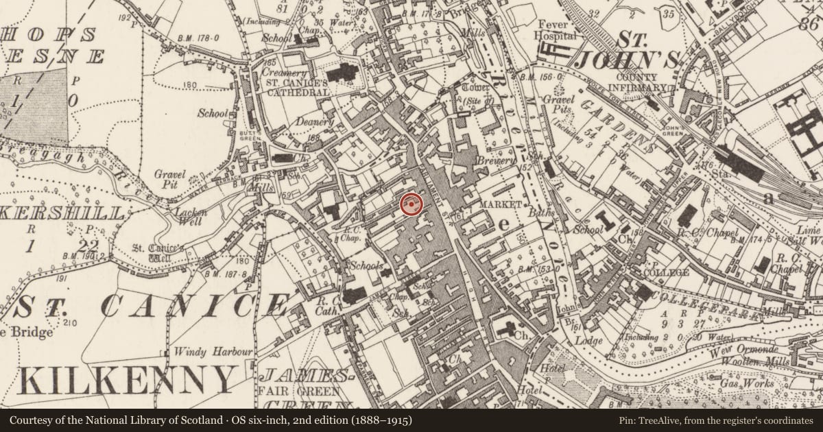 Ordnance Survey six-inch map, 2nd edition (1888–1915) covering the location of House - medieval, Gardens (Kilkenny City By., St. Mary’s Par.), County Kilkenny, with a pin at the register's coordinates