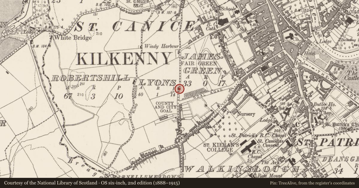 Ordnance Survey six-inch map, 2nd edition (1888–1915) covering the location of Road - road/trackway, Dukesmeadows (Shillelogher By., St. Patrick's Par.), County Kilkenny, with a pin at the register's coordinates