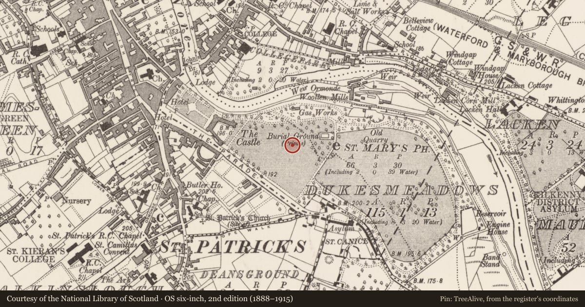 Ordnance Survey six-inch map, 2nd edition (1888–1915) covering the location of Stable, Dukesmeadows (Shillelogher By., St. Patrick's Par.), County Kilkenny, with a pin at the register's coordinates
