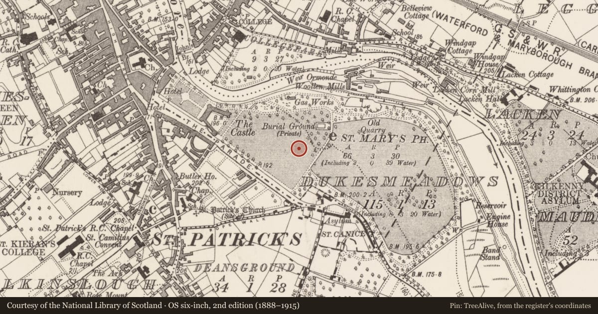 Ordnance Survey six-inch map, 2nd edition (1888–1915) covering the location of Castle - unclassified, Dukesmeadows (Shillelogher By., St. Patrick's Par.), County Kilkenny, with a pin at the register's coordinates