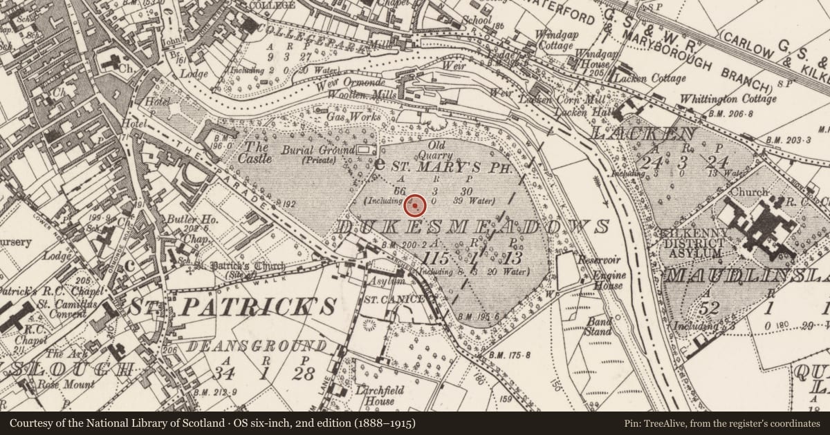 Ordnance Survey six-inch map, 2nd edition (1888–1915) covering the location of Road - hollow-way, Dukesmeadows (Shillelogher By., St. Patrick's Par.), County Kilkenny, with a pin at the register's coordinates