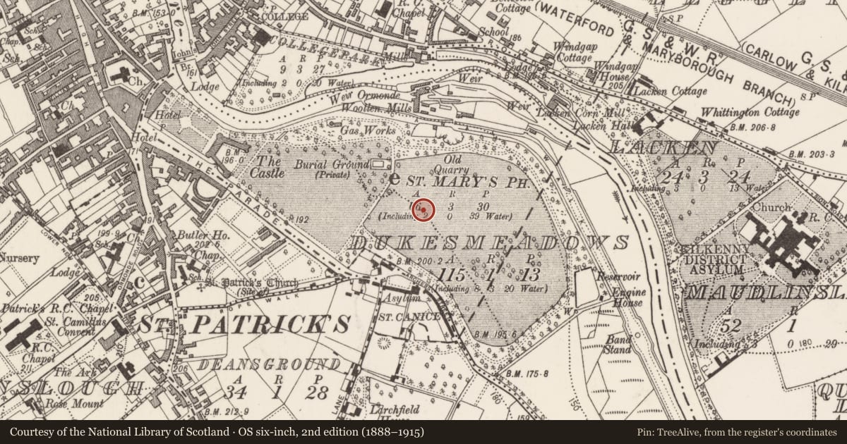 Ordnance Survey six-inch map, 2nd edition (1888–1915) covering the location of Enclosure, Dukesmeadows (Shillelogher By., St. Patrick's Par.), County Kilkenny, with a pin at the register's coordinates