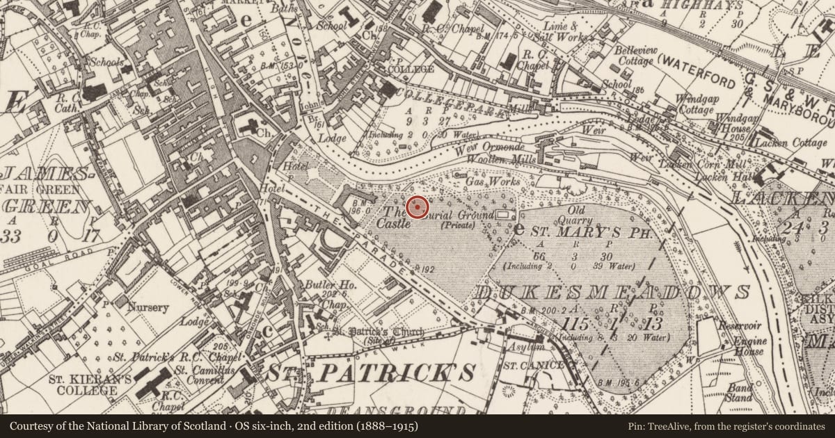 Ordnance Survey six-inch map, 2nd edition (1888–1915) covering the location of Designed landscape - summer house, Dukesmeadows (Shillelogher By., St. Patrick's Par.), County Kilkenny, with a pin at the register's coordinates