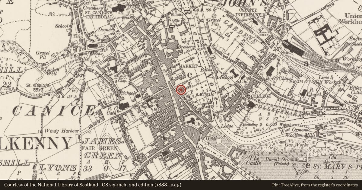 Ordnance Survey six-inch map, 2nd edition (1888–1915) covering the location of House - indeterminate date, Gardens (Kilkenny City By., St. Mary’s Par.), County Kilkenny, with a pin at the register's coordinates