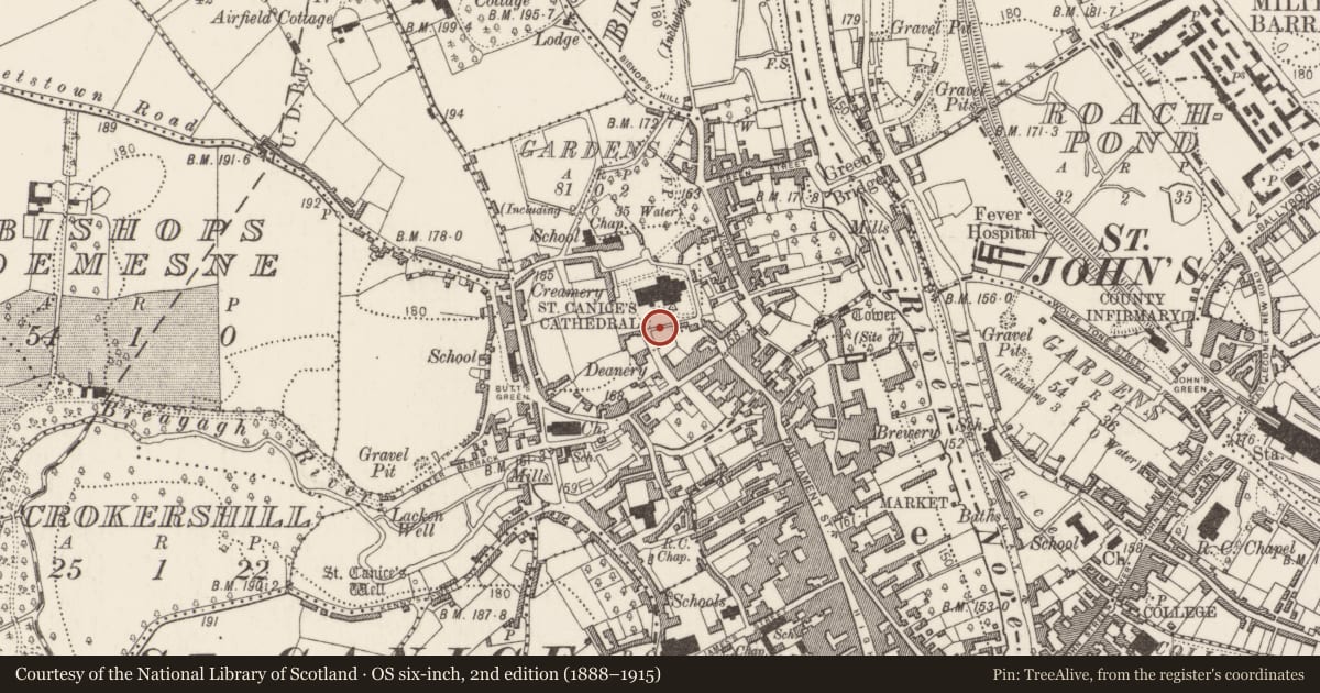 Ordnance Survey six-inch map, 2nd edition (1888–1915) covering the location of Souterrain, Gardens (Kilkenny City By., St. Canice Par.), County Kilkenny, with a pin at the register's coordinates