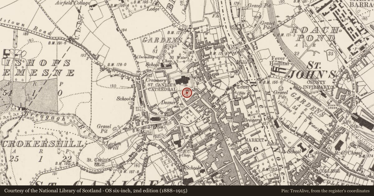 Ordnance Survey six-inch map, 2nd edition (1888–1915) covering the location of Graveslab, Gardens (Kilkenny City By., St. Canice Par.), County Kilkenny, with a pin at the register's coordinates