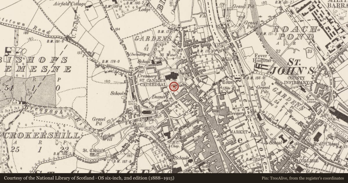 Ordnance Survey six-inch map, 2nd edition (1888–1915) covering the location of Excavation - miscellaneous, Gardens (Kilkenny City By., St. Canice Par.), County Kilkenny, with a pin at the register's coordinates