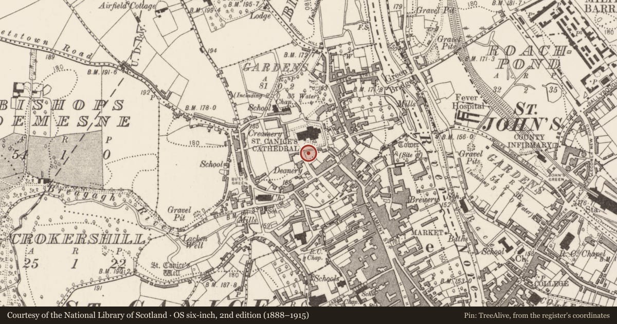 Ordnance Survey six-inch map, 2nd edition (1888–1915) covering the location of Ecclesiastical enclosure, Gardens (Kilkenny City By., St. Canice Par.), County Kilkenny, with a pin at the register's coordinates