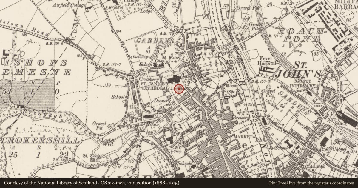 Ordnance Survey six-inch map, 2nd edition (1888–1915) covering the location of Excavation - miscellaneous, Gardens (Kilkenny City By., St. Canice Par.), County Kilkenny, with a pin at the register's coordinates