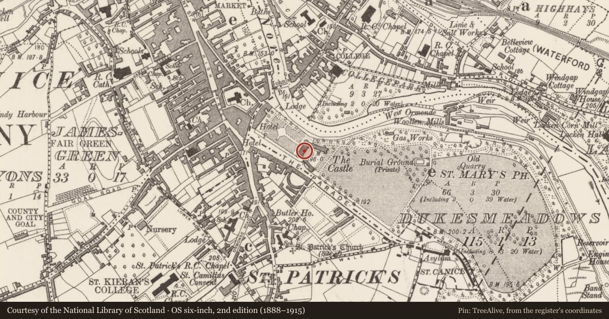 Ordnance Survey six-inch map, 2nd edition (1888–1915) covering the location of Castle - ringwork, Dukesmeadows (Shillelogher By., St. Patrick's Par.), County Kilkenny, with a pin at the register's coordinates