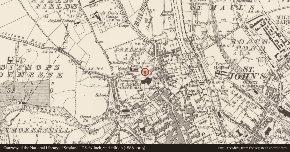 Ordnance Survey six-inch map, 2nd edition (1888–1915) covering the location of Excavation - miscellaneous, Gardens (Kilkenny City By., St. Canice Par.), County Kilkenny, with a pin at the register's coordinates