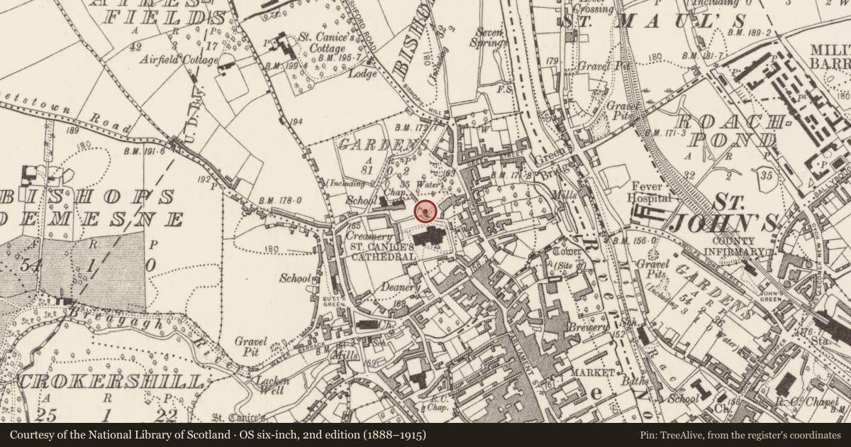Ordnance Survey six-inch map, 2nd edition (1888–1915) covering the location of Kiln - lime, Gardens (Kilkenny City By., St. Canice Par.), County Kilkenny, with a pin at the register's coordinates