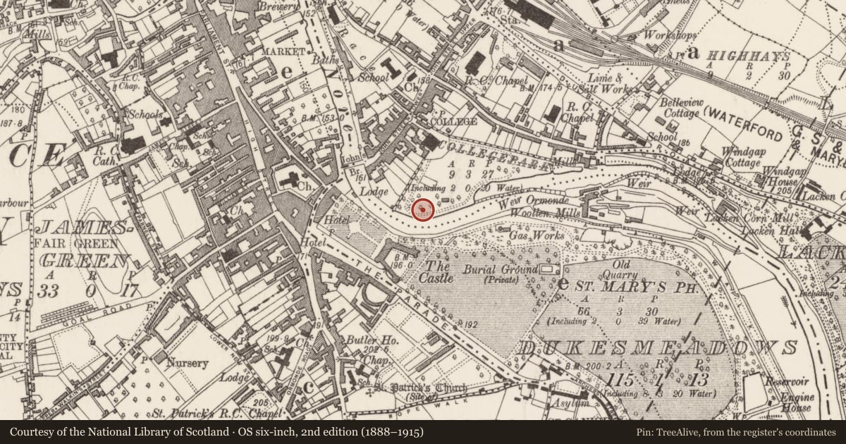 Ordnance Survey six-inch map, 2nd edition (1888–1915) covering the location of Dovecote, Collegepark, County Kilkenny, with a pin at the register's coordinates