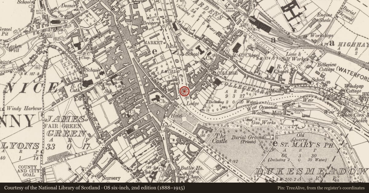Ordnance Survey six-inch map, 2nd edition (1888–1915) covering the location of Bridge, County Kilkenny, with a pin at the register's coordinates