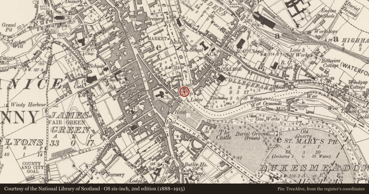 Ordnance Survey six-inch map, 2nd edition (1888–1915) covering the location of Weir - fish, Dukesmeadows (Shillelogher By., St. Patrick's Par.), County Kilkenny, with a pin at the register's coordinates