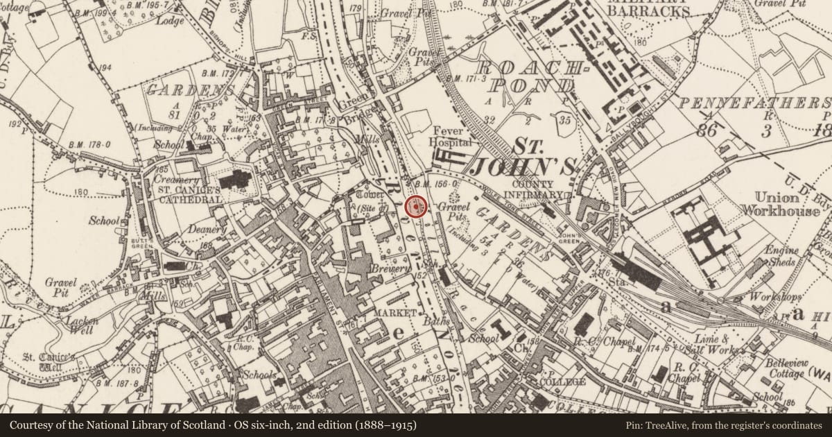 Ordnance Survey six-inch map, 2nd edition (1888–1915) covering the location of Riverine revetment, Gardens (Kilkenny City By., St. John's Par.), County Kilkenny, with a pin at the register's coordinates