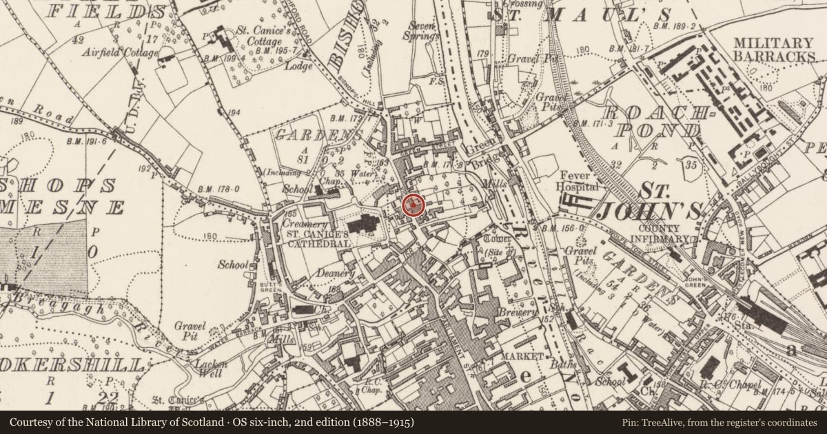 Ordnance Survey six-inch map, 2nd edition (1888–1915) covering the location of Excavation - miscellaneous, Gardens (Kilkenny City By., St. Canice Par.), County Kilkenny, with a pin at the register's coordinates