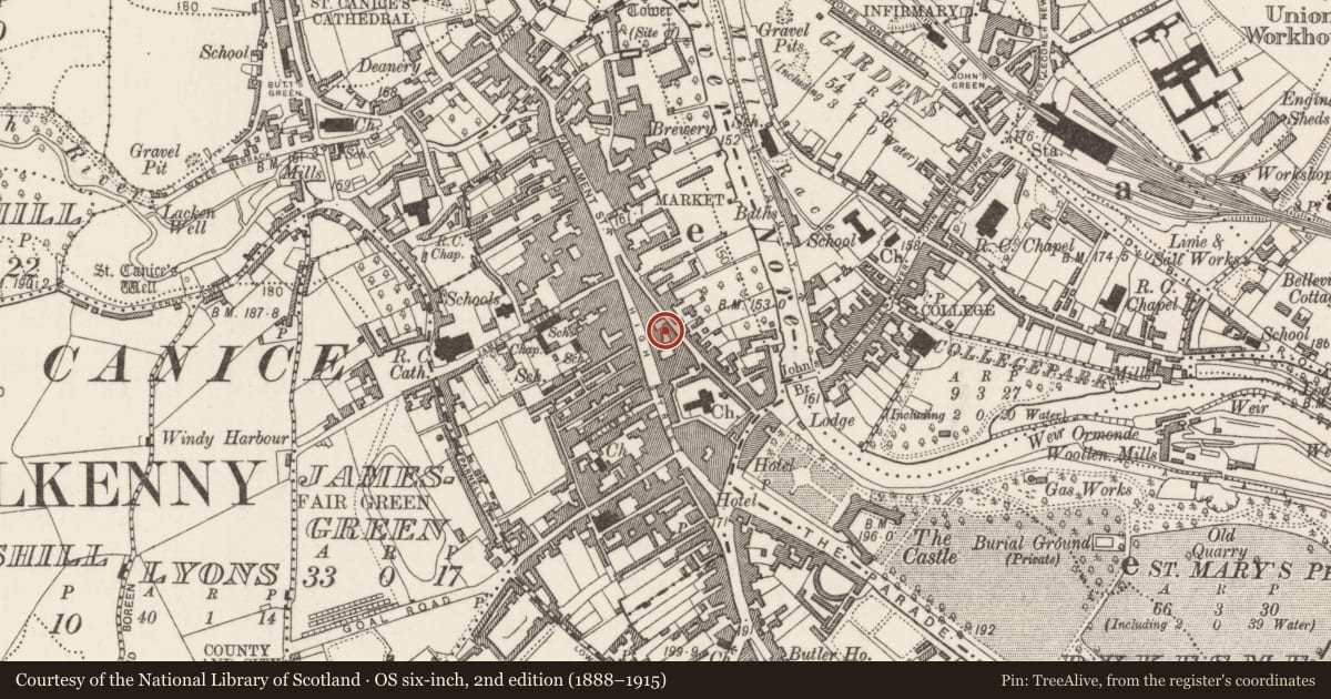 Ordnance Survey six-inch map, 2nd edition (1888–1915) covering the location of House - 16th/17th century, Gardens (Kilkenny City By., St. Mary’s Par.), County Kilkenny, with a pin at the register's coordinates