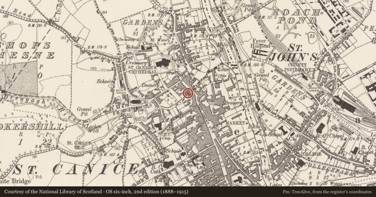 Ordnance Survey six-inch map, 2nd edition (1888–1915) covering the location of Riverine revetment, Gardens (Kilkenny City By., St. Canice Par.), County Kilkenny, with a pin at the register's coordinates