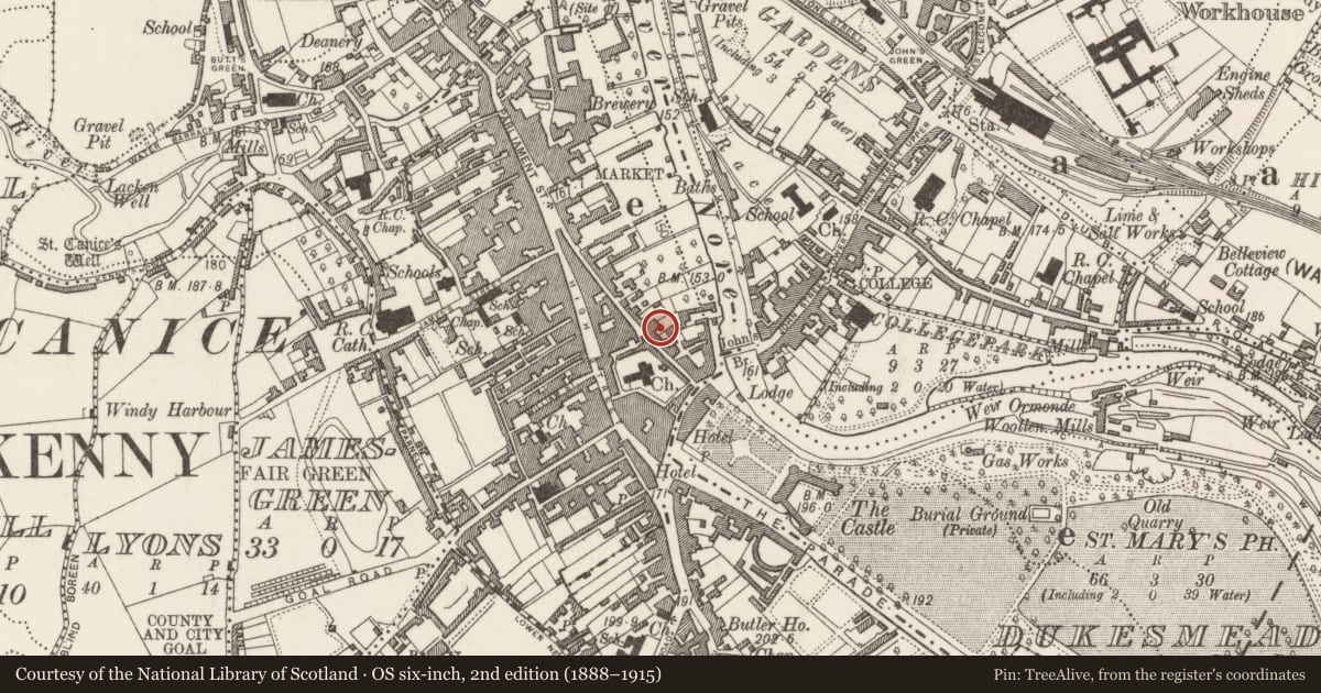 Ordnance Survey six-inch map, 2nd edition (1888–1915) covering the location of House - medieval, Gardens (Kilkenny City By., St. Mary’s Par.), County Kilkenny, with a pin at the register's coordinates