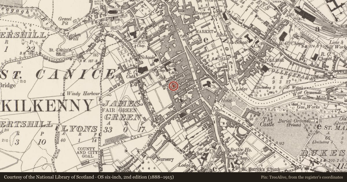 Ordnance Survey six-inch map, 2nd edition (1888–1915) covering the location of House - indeterminate date, Gardens (Kilkenny City By., St. Mary’s Par.), County Kilkenny, with a pin at the register's coordinates