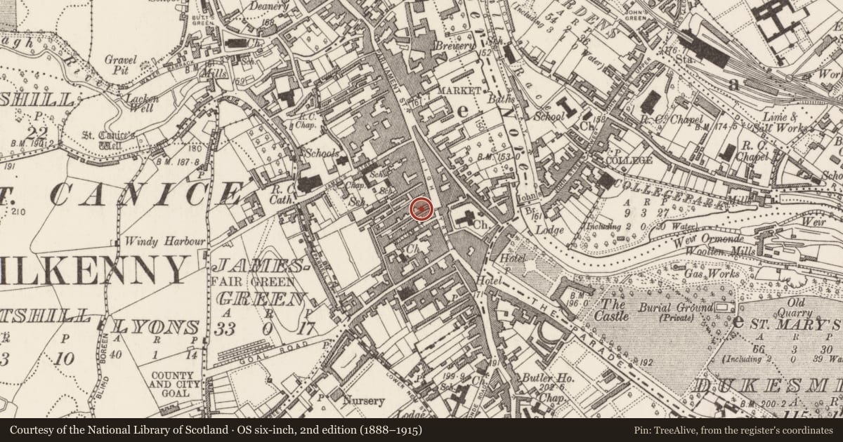 Ordnance Survey six-inch map, 2nd edition (1888–1915) covering the location of Castle - unclassified, Gardens (Kilkenny City By., St. Mary’s Par.), County Kilkenny, with a pin at the register's coordinates