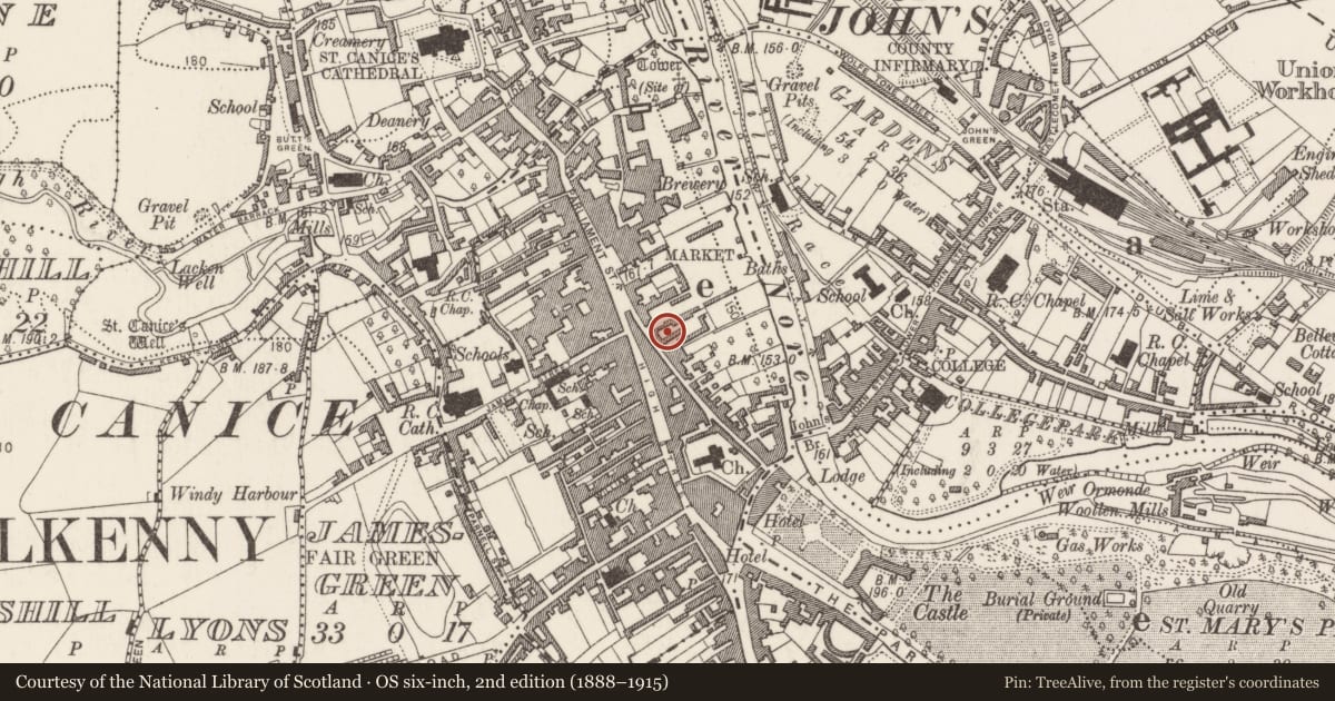 Ordnance Survey six-inch map, 2nd edition (1888–1915) covering the location of Ritual site - holy well, Gardens (Kilkenny City By., St. Mary’s Par.), County Kilkenny, with a pin at the register's coordinates