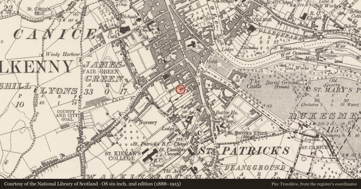Ordnance Survey six-inch map, 2nd edition (1888–1915) covering the location of Excavation - miscellaneous, Gardens (Kilkenny City By., St. Patrick's Par.), County Kilkenny, with a pin at the register's coordinates
