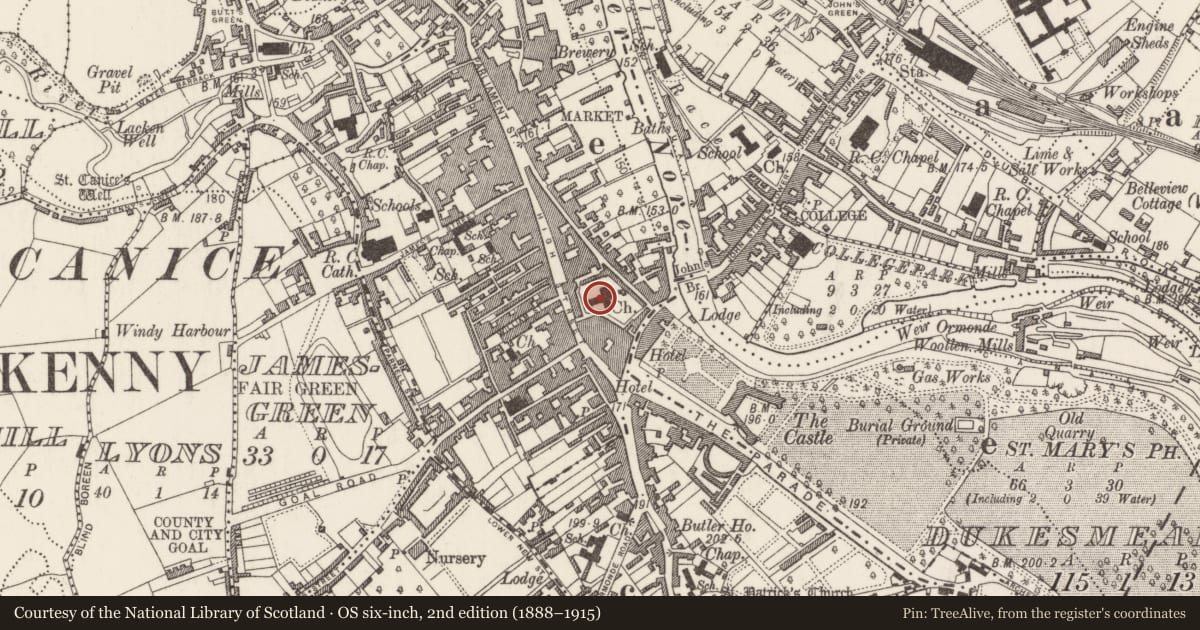 Ordnance Survey six-inch map, 2nd edition (1888–1915) covering the location of Font, Gardens (Kilkenny City By., St. Mary’s Par.), County Kilkenny, with a pin at the register's coordinates