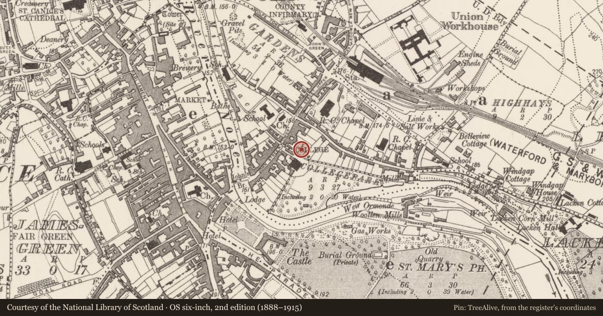 Ordnance Survey six-inch map, 2nd edition (1888–1915) covering the location of Water mill - vertical-wheeled, Gardens (Kilkenny City By., St. John's Par.), County Kilkenny, with a pin at the register's coordinates