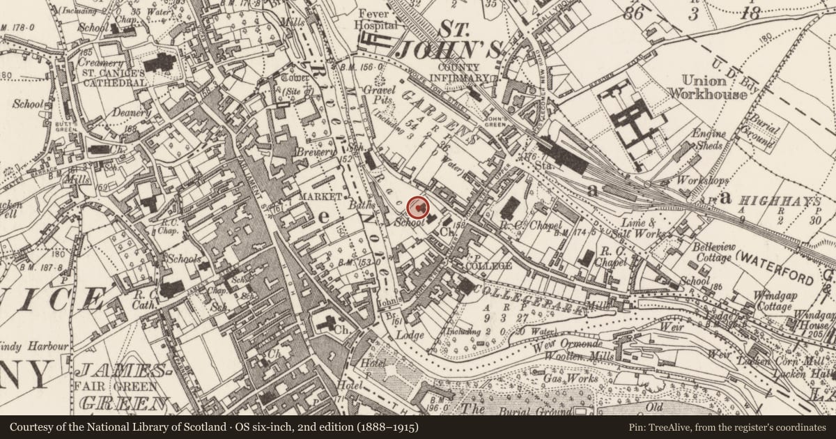 Ordnance Survey six-inch map, 2nd edition (1888–1915) covering the location of Graveslab, Gardens (Kilkenny City By., St. John's Par.), County Kilkenny, with a pin at the register's coordinates