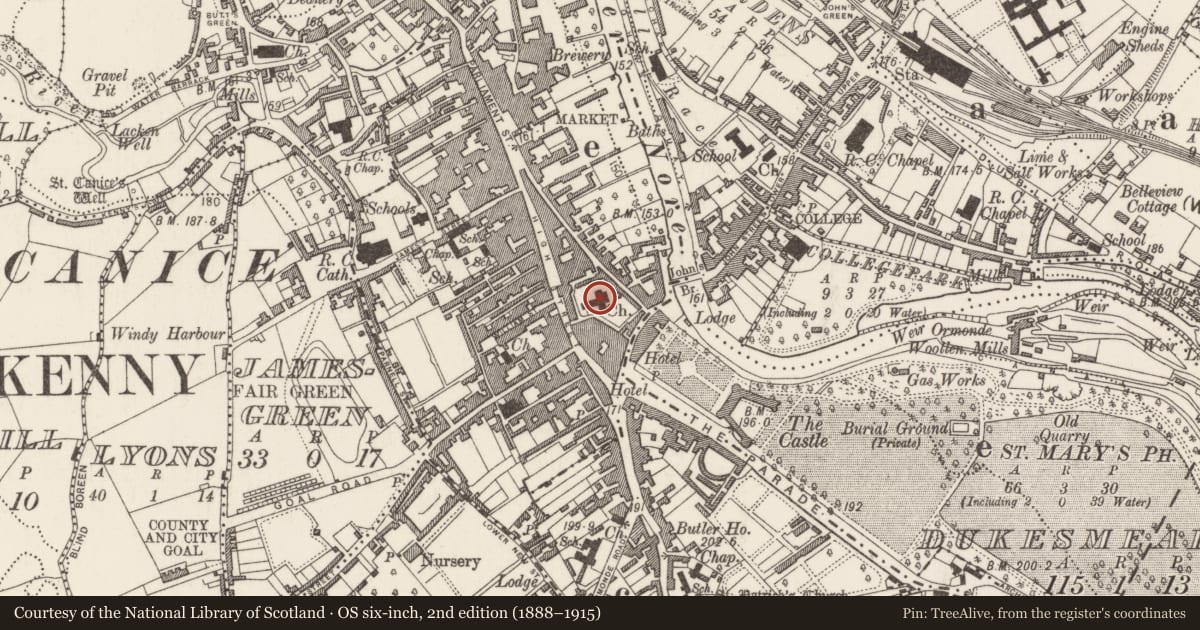 Ordnance Survey six-inch map, 2nd edition (1888–1915) covering the location of Tomb - effigial (present location), Gardens (Kilkenny City By., St. Mary’s Par.), County Kilkenny, with a pin at the register's coordinates