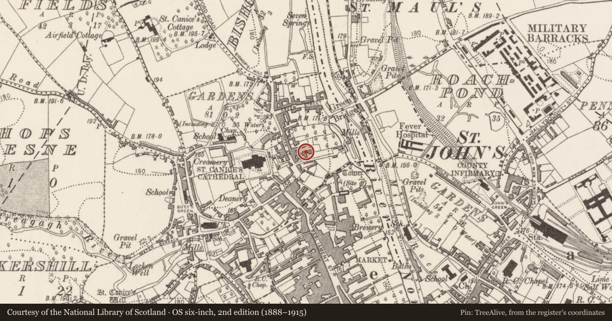 Ordnance Survey six-inch map, 2nd edition (1888–1915) covering the location of Tannery, Gardens (Kilkenny City By., St. Canice Par.), County Kilkenny, with a pin at the register's coordinates