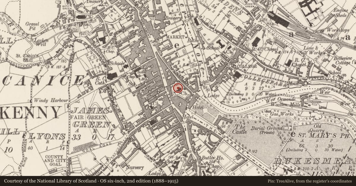 Ordnance Survey six-inch map, 2nd edition (1888–1915) covering the location of Wall monument, Gardens (Kilkenny City By., St. Mary’s Par.), County Kilkenny, with a pin at the register's coordinates