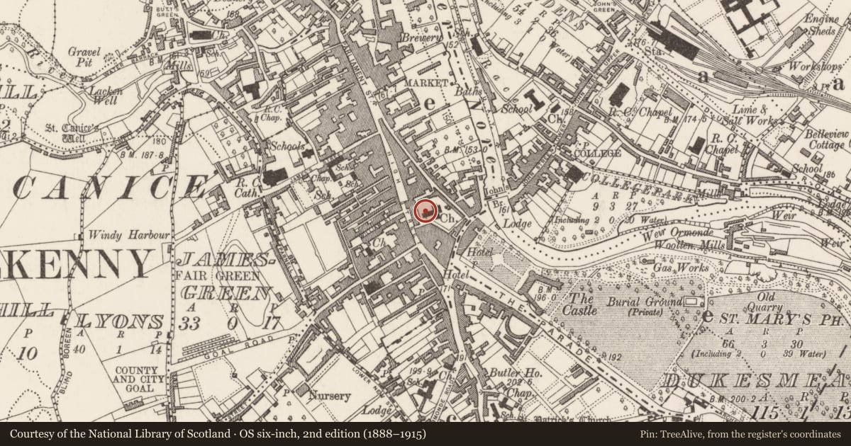 Ordnance Survey six-inch map, 2nd edition (1888–1915) covering the location of Tomb - effigial, Gardens (Kilkenny City By., St. Mary’s Par.), County Kilkenny, with a pin at the register's coordinates