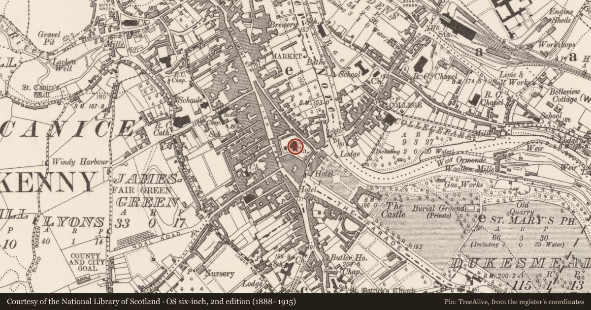 Ordnance Survey six-inch map, 2nd edition (1888–1915) covering the location of Tomb - effigial, Gardens (Kilkenny City By., St. Mary’s Par.), County Kilkenny, with a pin at the register's coordinates
